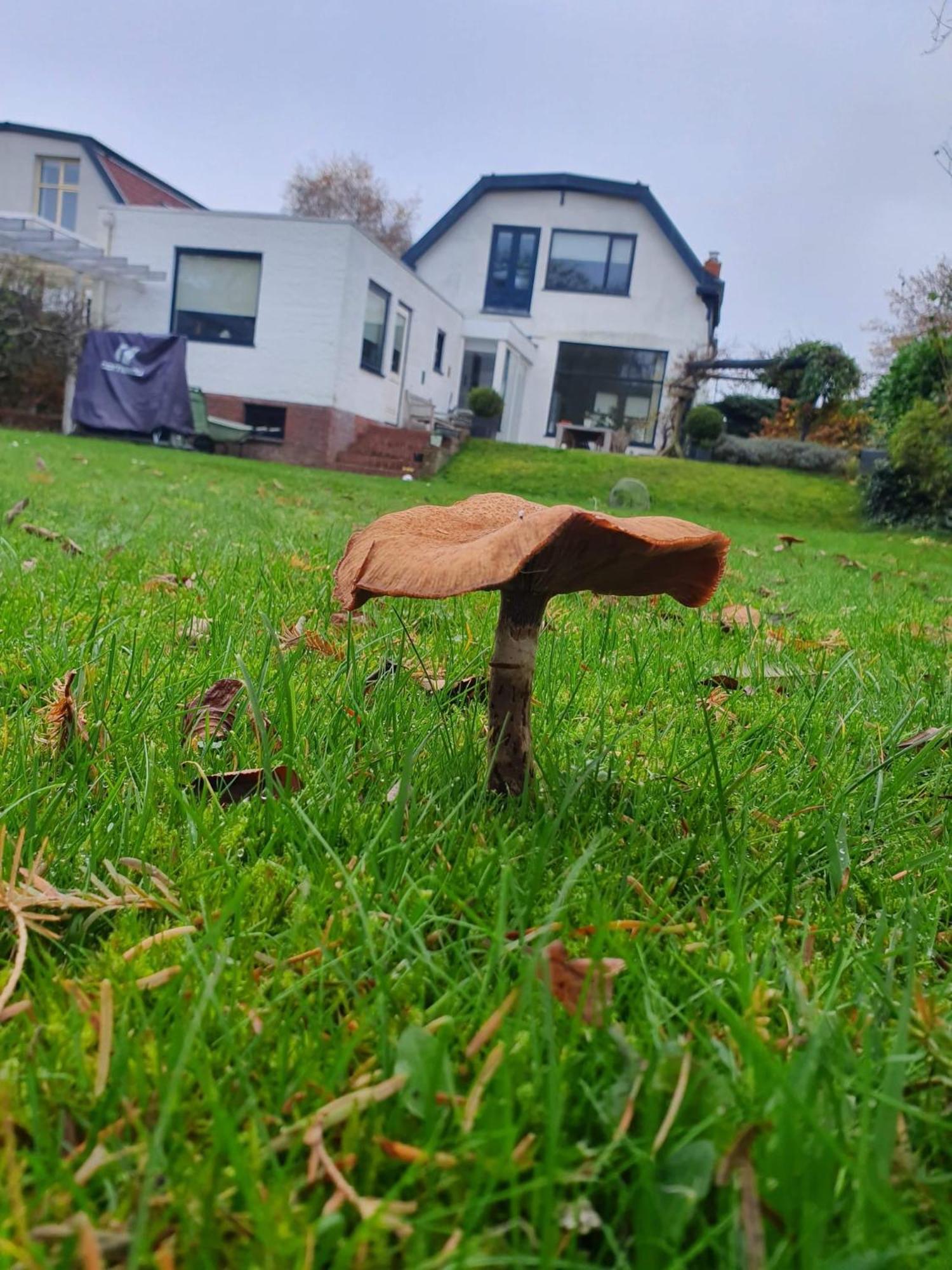 Zelfstandig Gastenverblijf In Het Groene Haren Nabij Groningen Luaran gambar