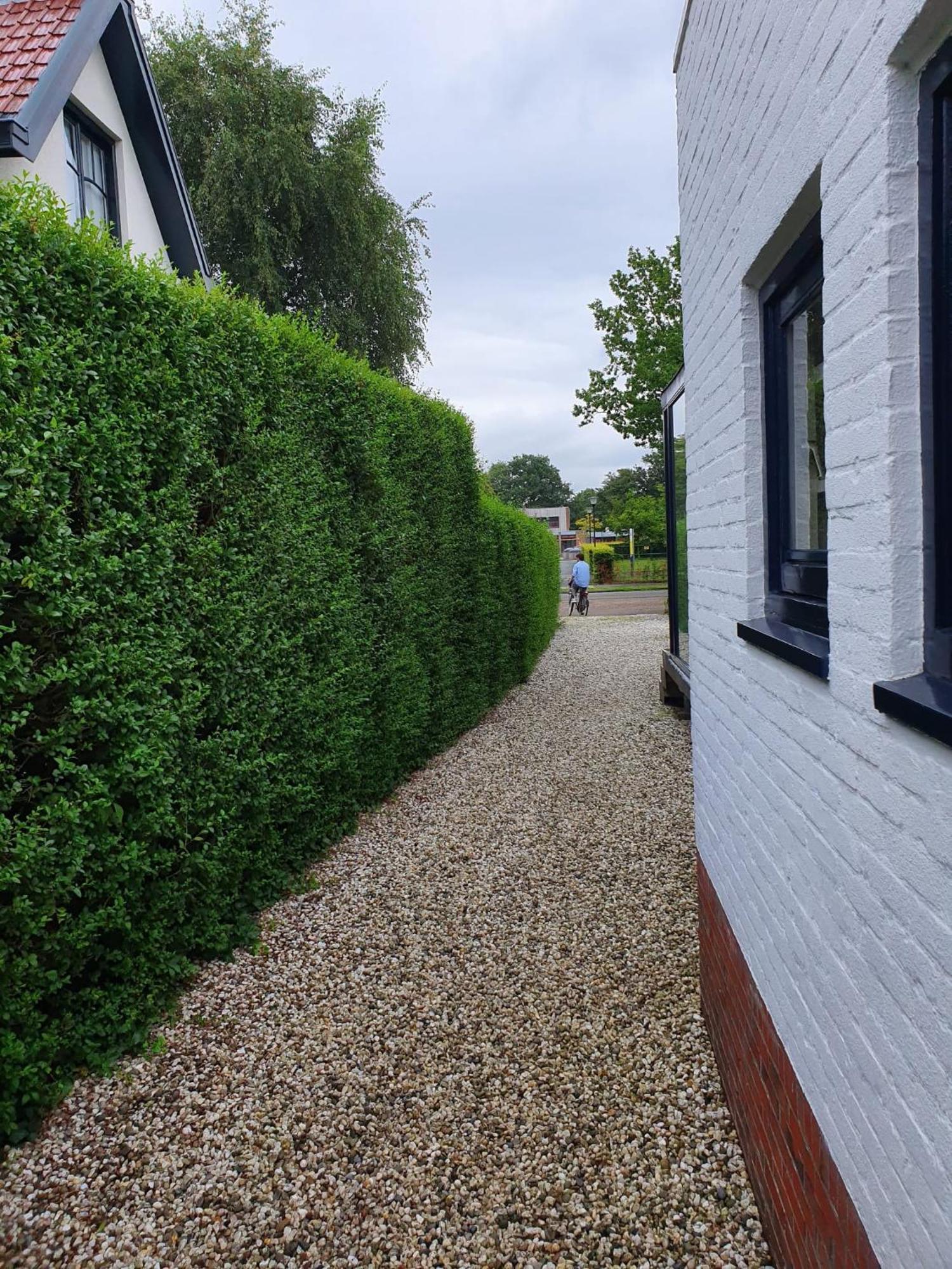 Zelfstandig Gastenverblijf In Het Groene Haren Nabij Groningen Luaran gambar